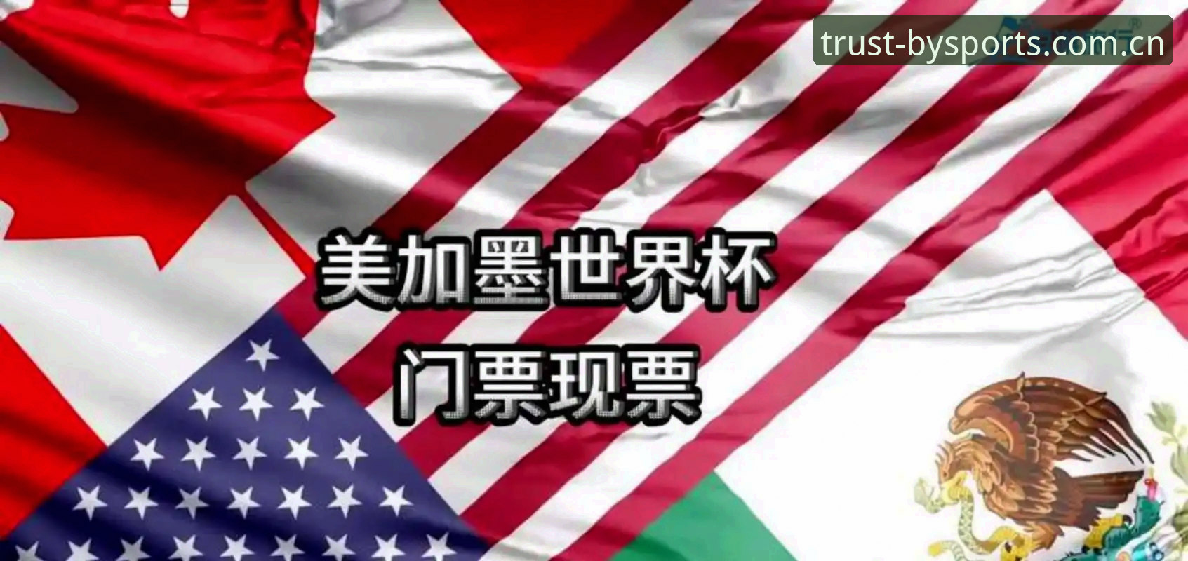 世界杯观赛热潮 vs 签证困局：必一运动用户如何应对赛事“冷场”
