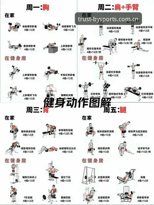 掌握必一运动体验的实用技巧：新手入门必备知识