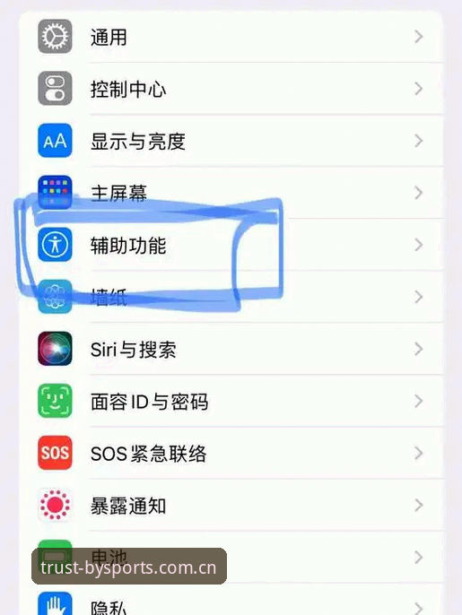 最新必一运动苹果版使用教程：从下载到畅享体育娱乐的完整指南